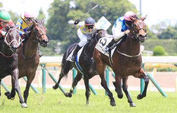 キミワクイーンの競走馬登録抹消…繁殖予定