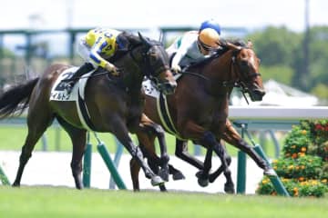 【新馬/中京4R】ロードカナロア産駒 マイケルバローズがデビューV