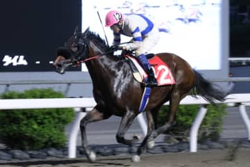【高知・五台山特別】1番人気ケイアイメープルが接戦制す…赤岡騎手「理想的な形」