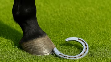 【競馬レースには影響大！】落鉄とは？