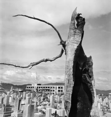 原爆の記録を当時のフィルムからプリントして伝える 日本写真保存センター写真展「写真フィルムからよみがえる原爆の記録と記憶」