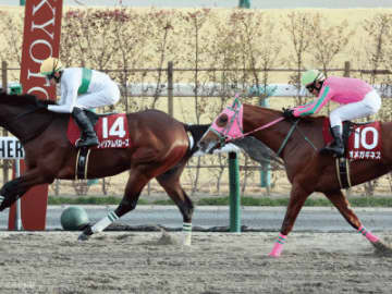 【東海S】地方交流重賞組の中で全く好走していない！さきたま杯馬組の馬券は買ってはいけない！？