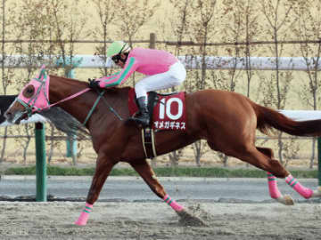 【東海S】4年連続で人気薄が馬券に絡んでいる！波乱の主役となる馬とは！？
