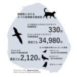野生ネコが伊豆御蔵島の海鳥を大量捕食　食性調査で実態判明