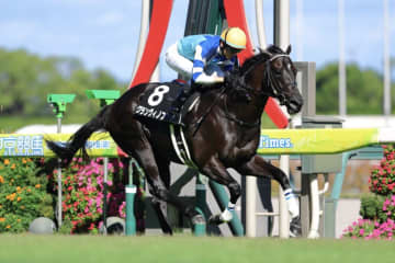 【関ケ原S】良血グランヴィノス4勝目をマーク