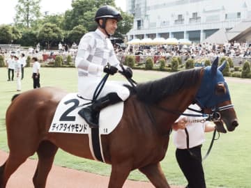 【新潟1R】単勝1.1倍ディアダイヤモンドが7馬身差圧勝