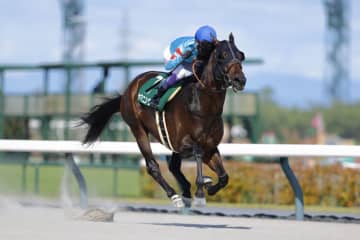 【東海S】武豊ヤマニンウルスが復活で重賞2勝目
