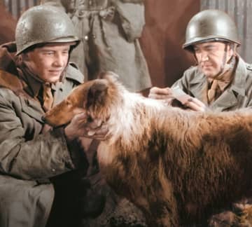 「知ってたら世代がバレる」「アニメ版は打ち切り」最も有名な“犬の名前”になった元祖モフモフ物語