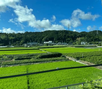 安めぐみ、早朝起きで仕事＆育児で「帰りの新幹線は…」