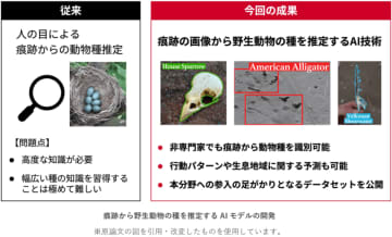 野生動物の多様な“痕跡”の画像から種の推定を可能にするAIモデルを開発