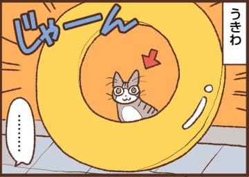 【吉川さん家の猫事情】#103話 海、行くの？