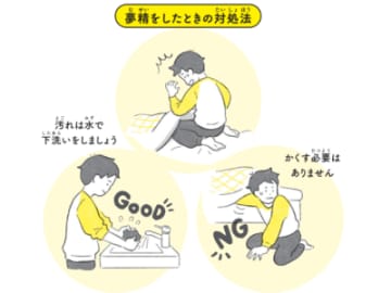 寝ながら出てしまうのはなんで？夢精をしたときの対処法は？汚れたパンツやシーツの洗い方【12歳までに知っておきたい男の子のためのおうちでできる性教育】
