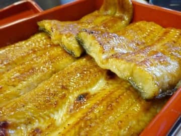 明日は土用の丑の日！…でも、今後は「うなぎ」が食べられなくなるって本当ですか？【専門家が解説】