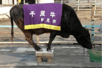 岡山県新見市｜教員の働き方改革をテクノロジーで支援。 全国で支持される“安心”の仕組みを地方から発信！［求人情報あり］