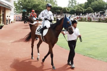 【新潟1R】ルメール「マイルちょうど良い」素質馬ディアダイヤモンドが圧勝