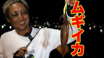 「明確にアタるね（笑）」「気持ちいい!」湯川マサタカが南三陸で挑むスルメイカ(ムギイカ)のライトエギング