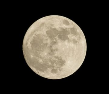 夜の書庫に入れちゃう!?特別イベントもいっぱい【としょかんでよふかし】親子で非日常体験を