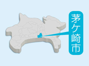 「サザンビーチちがさき花火大会」中止　台風9号接近の影響、順延なし