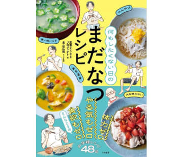長引く夏の食卓に「何もしたくない日のまだなつレシピ」発刊 味の素