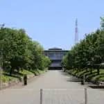 2029年度より鎌倉大学（仮称）へ　鎌倉女子大学が共学化