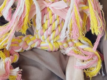 「ぬいぐるみの髪が毎日伸びる…」　怪奇現象の真相に「笑ったわ」「この謎、解けた！」