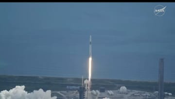 NASA有人ミッション「Crew-11」打ち上げ成功　JAXA油井さんらISS到着予定は日本時間8月2日午後