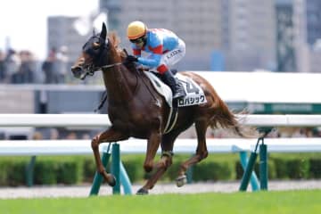 【札幌4R】ブラストワンピース半妹 ロパシックが初勝利