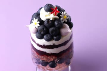 夏限定！FUKUNAGA901×わかさ生活のブルーベリーパフェが京都に登場