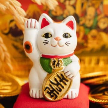 にゃんともラッキー♡猫が飼い主にもたらした「大当たりの宝くじ」米国
