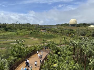 ジャングリアは “地獄の待機場” ？――科学が暴く、構造的詐欺のテーマパーク【林直人】