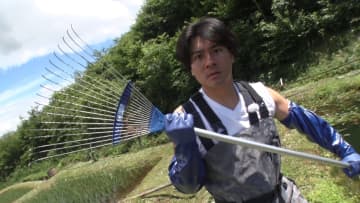 『DASH村』田植えから2か月の棚田に問題アリの稲を発見も…梅の実と桑の実で解決できるか？