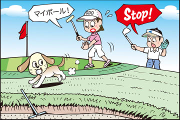 犬がボールをくわえて行っちゃった。さあ、どうなる？／ルールQ&A