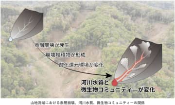 地震による表層崩壊がもたらす環境変化