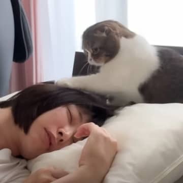 ぐっすりと眠るママと絶対に起こしたい猫…朝の『バトルの様子』が笑えると13万再生「寝起きバトルｗ」「二度寝までのスピードに爆笑」