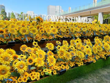 【東京ミッドタウン】日本の夏景色をめいっぱい楽しめるコンテンツがいっぱい！@六本木