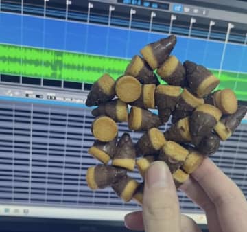 【衝撃の光景】これが…たけのこの里の最終形態！？合体事故なのに美しい　円状フォーメーションにX民ざわつく