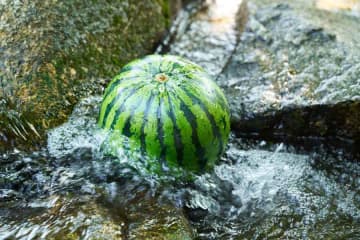 「川で冷やしたスイカ」に潜むリスク　レジャーの場面でやりがちなこと　栄養士が促す「注意」とは