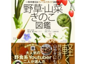 山に生えているあのきのこ、実は高級食材だった!?　一年中使えるフィールドガイドの決定版が「DASH島」でも大活躍！