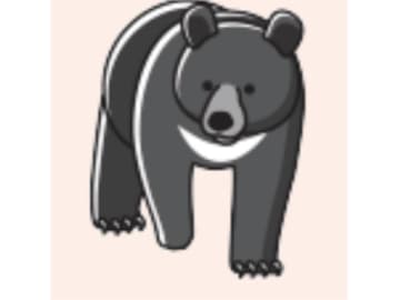 ８種のうち２種もいる！ 日本にいる野生のクマはどこにいる？【眠れなくなるほど面白い 図解 クマの話】