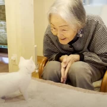 『97歳のおばあちゃん』と『0歳の子猫』を会わせてみたら…すてきなリアクションに「なんか涙が出た」「胸がいっぱいになる」と8万再生