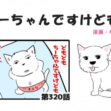 ちーちゃんですけどもっ【第320話】「わんこの水分」