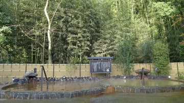 【千葉県・佐倉天然温泉 澄流 -すみれ-】入浴回数券や全国のご当地グルメが入った夏の福袋が登場！