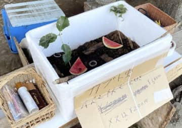 商品が全員脱走？！何もいない販売ブースに夏の笑いが拡散中　この空っぽ事件が夏の風物詩すぎた件