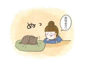 朝の挨拶は愛の証！猫たちとのほっこりモーニングルーティン【連載】交通事故にあった猫を拾いました#219