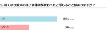 暑さで愛犬の様子が変わったと感じたことは？獣医師が解説する暑さ対策と注意点