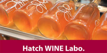 浦安の街に“ワイナリー”という新しい風を応援！ 『Hatch WINE Labo.』が【クラウドファンディング】挑戦中！