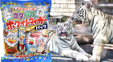 東武動物公園 ホワイトタイガー兄弟 コタ＆ハク 園内限定うまい棒
