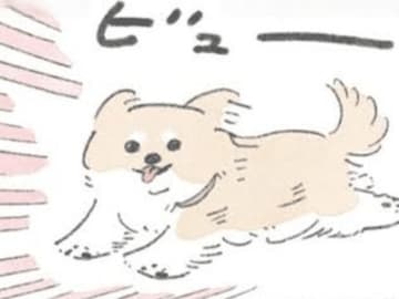 「あいつ走ってるぜ！」元気すぎて気持ちがいい。【うちのむっくはいつも楽しそう】
