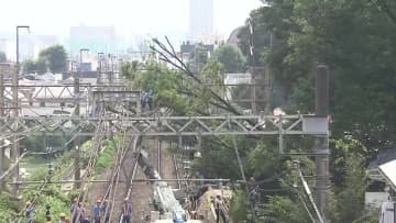 【速報】京王線が運転再開…倒木が特急列車に接触し運転見合わせも除去作業が完了