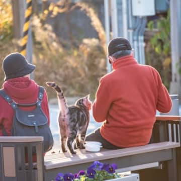 『猫と接すると、言語能力が維持される』高齢社会でのペットの効用を研究者が実証　スイス
